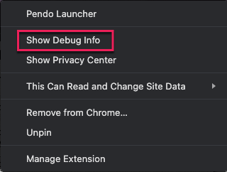 Show_Debug_Info.png