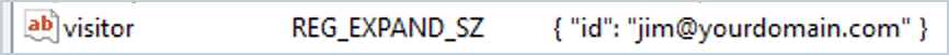 Visitor_ID_key_value_pair_example.png